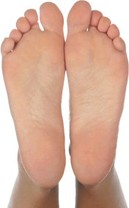 blauwddruk voettype